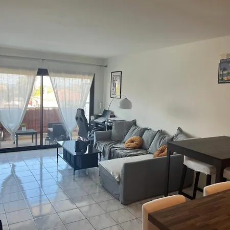 Agreable Climatise Devant La Avec Parking Apartment *