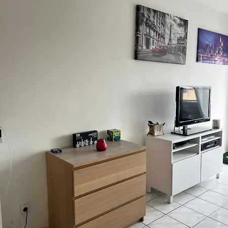 Agreable Climatise Devant La Avec Parking Apartment *